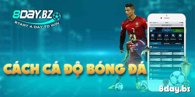 cách cá độ bóng đá